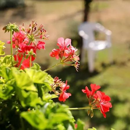 Sunny And Restful With Free Parking - Lily Apartamento Zadar